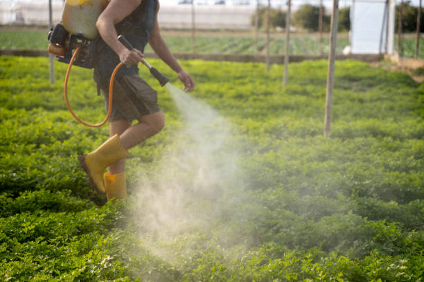 Best Local Pest Control Services  in Peaceful Valley, WA